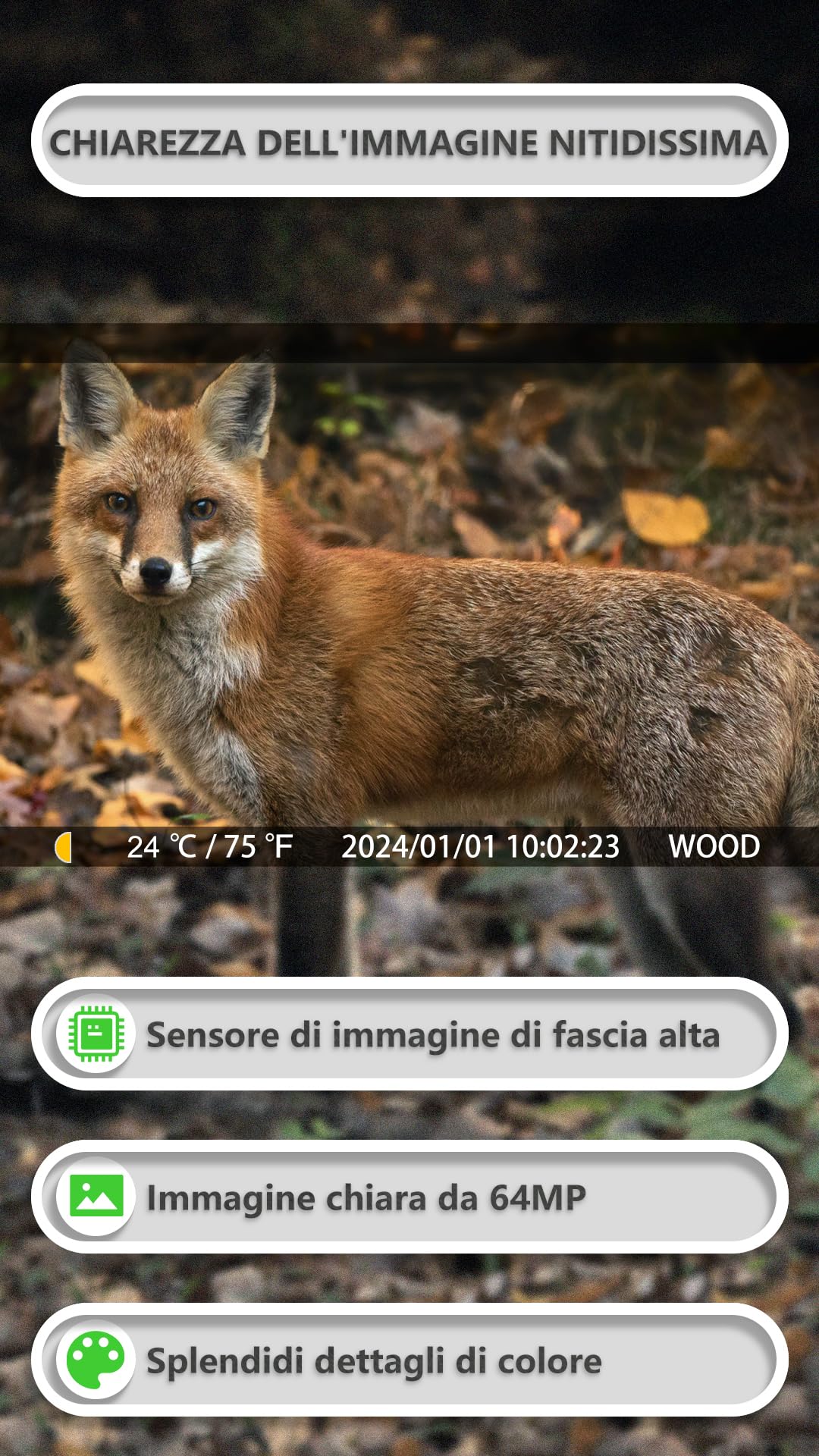 GardePro E8P Max Fotocamera da Caccia WIFI 8000mAh 64MP 1296P Visione Notturna