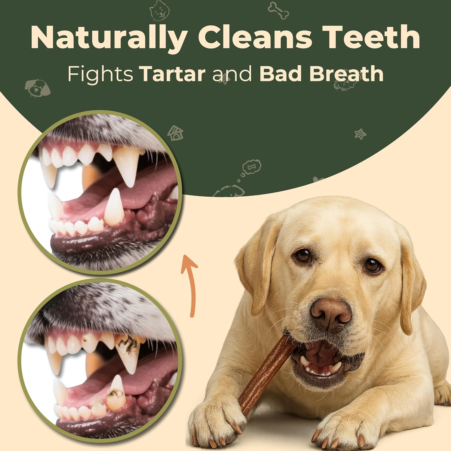 Odor Free Bully Stick Dog Treats - Long Lasting Chew Sticks - Free Range Grass Fed Beef Natural Dental Chew Treat - 6" inch, 5 Pack