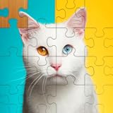 Jigsaw Puzzle