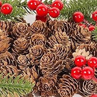 Vista 3 de ZYP 250 piñas de pino naturales a granel, adornos de piñas rústicas de Acción de Gracias, rellenos de jarrón, piñas pequeñas para manualidades