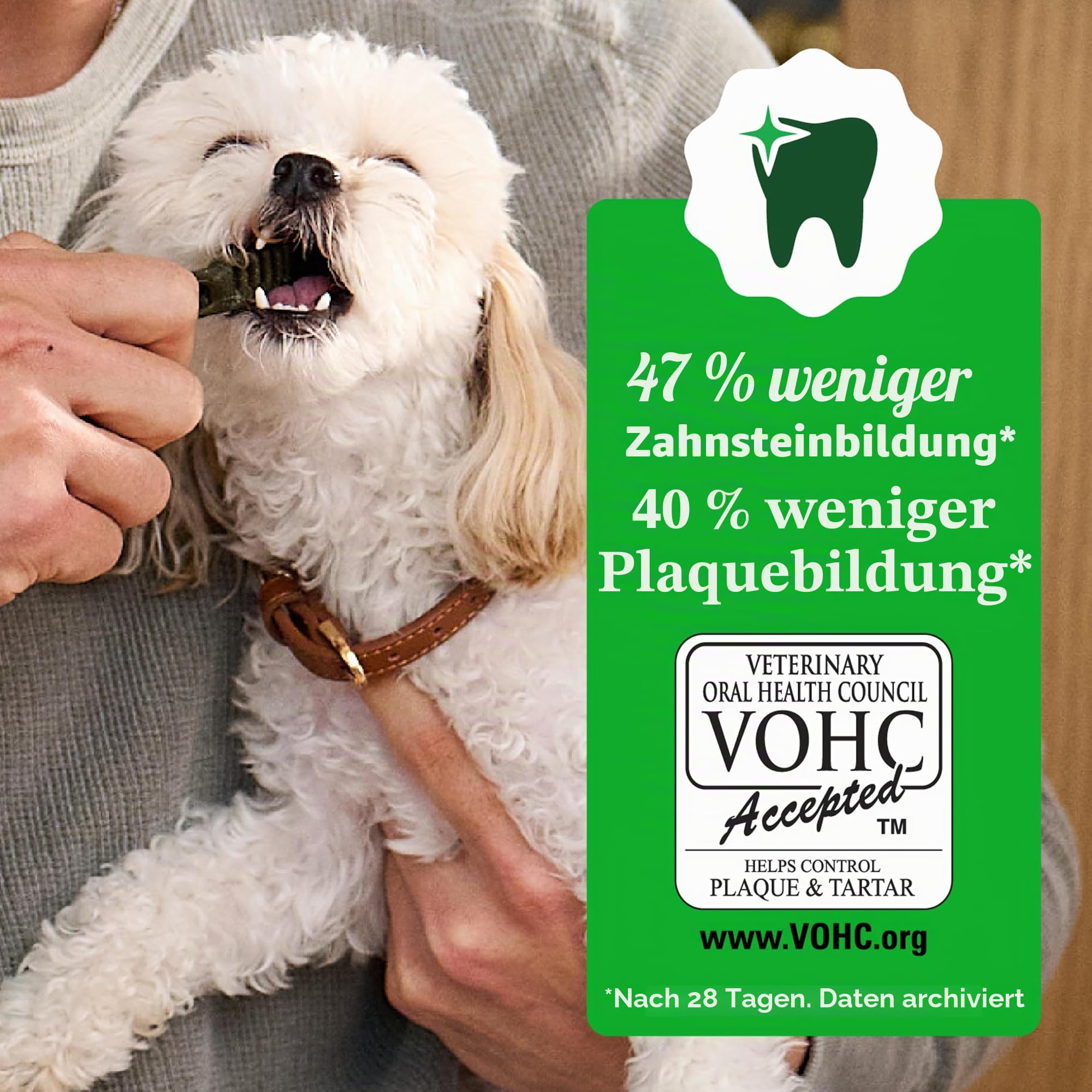 Greenies Original Hundesnacks für die Zähne