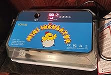 Review Image by Jeffrey Hess Jeffrey Hess