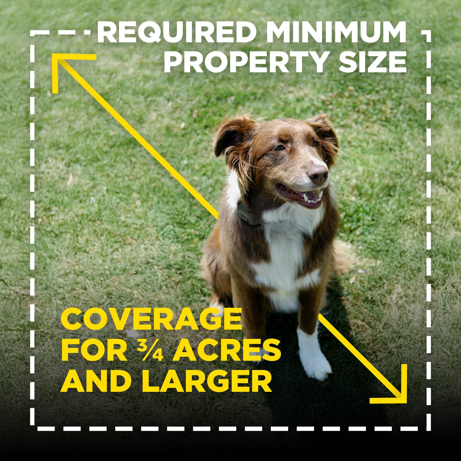 Dogtra Training Flags for GPS Fence/Smart Fence – 50-Pack Neon Orange Boundary Markers – Flexible, Weather-Resistant Yard Flags for Wireless Fence Training, Pet Containment, Safe Outdoor Setup - image 6