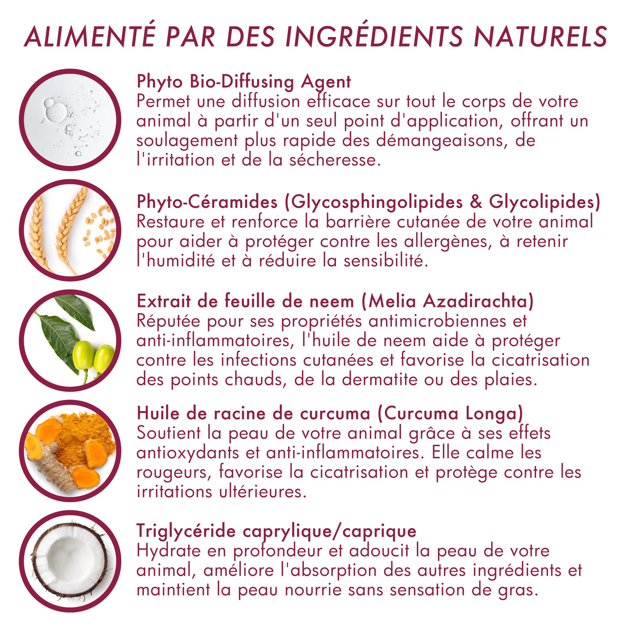 ATOP 7 Spot-on pour Chiens 20–40 kg | Soin Apaisant sans Rinçage | 4 Pipettes x 2,4 ML | Dermoscent