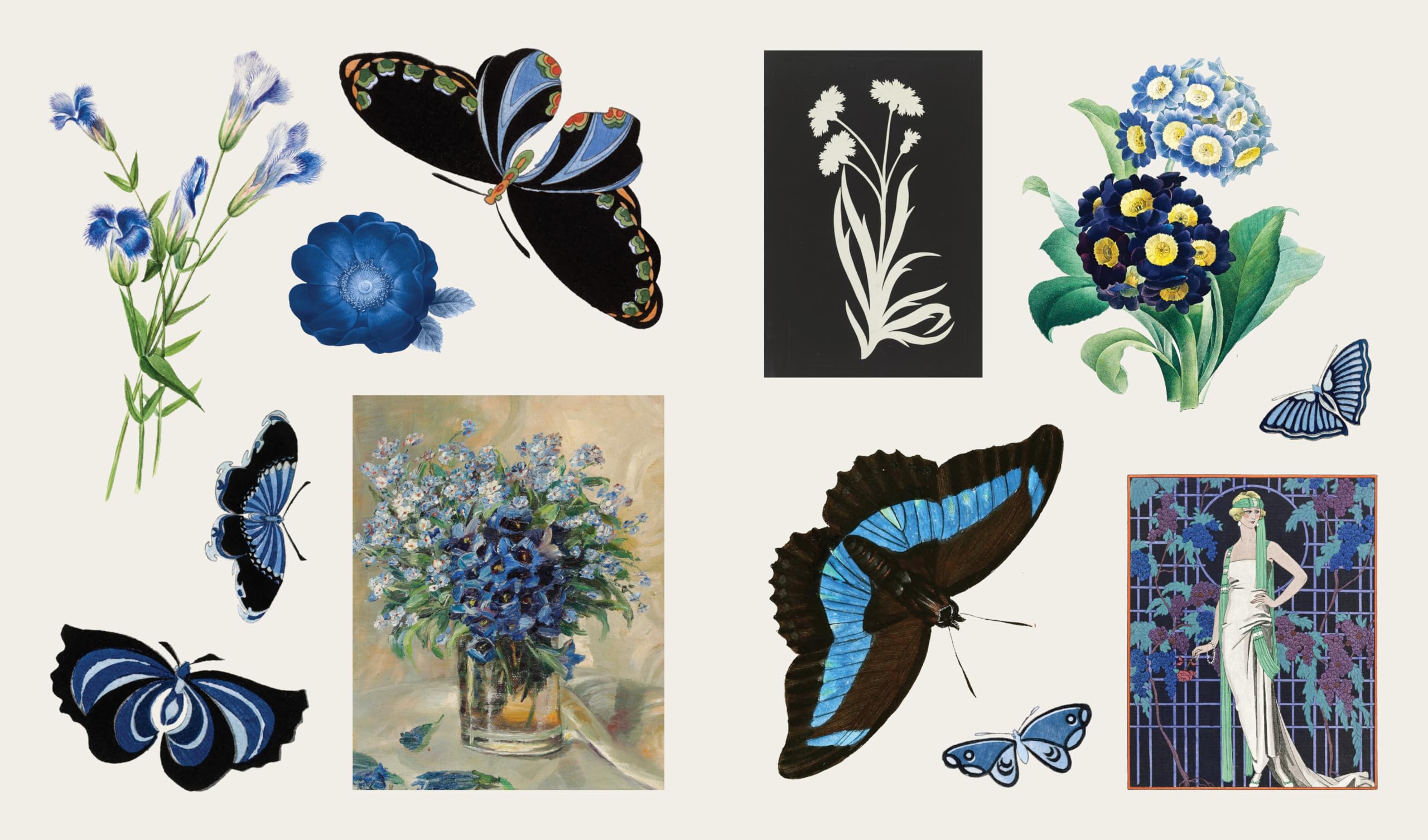 Blooms and Butterflies