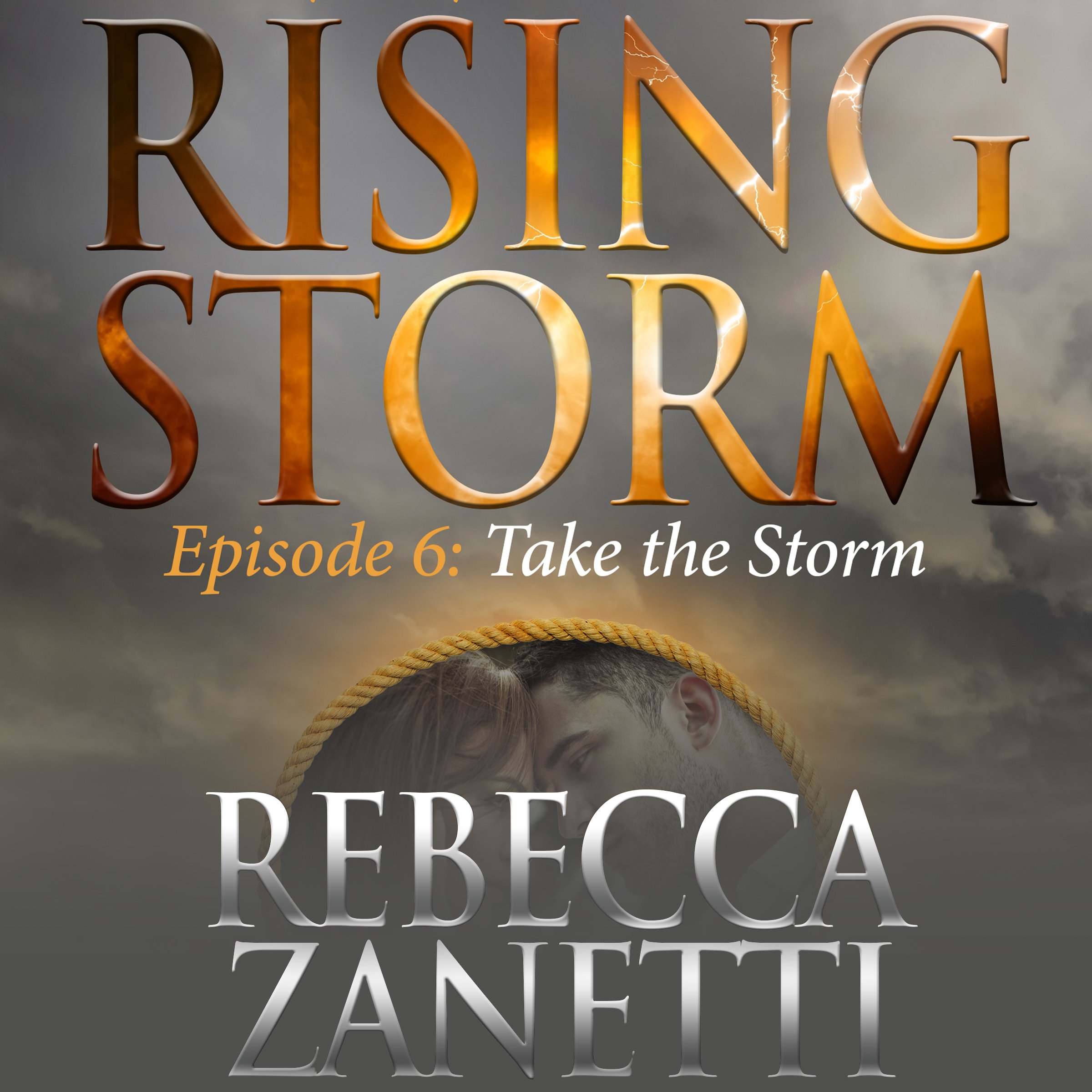 Cover art for Take the Storm