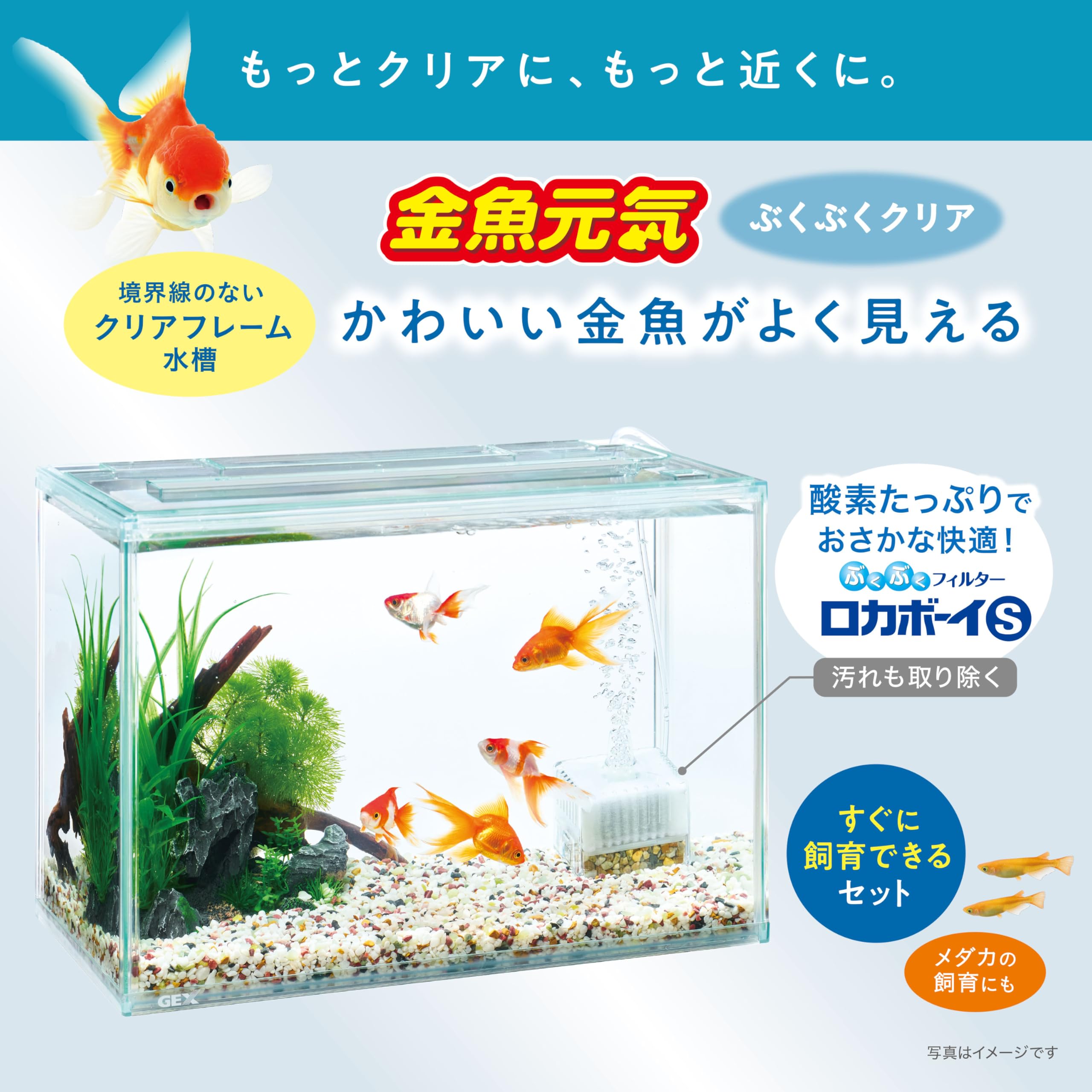 Amazon.co.jp: ジェックス GEX 金魚元気 ぶくぶくクリアセット400