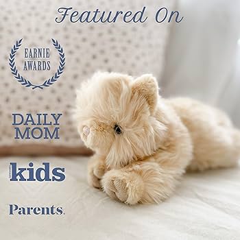 Amazon.com: MON AMI Ginger The Kitty Plush Toy – 10 Inch Soft Cat Amazon.com: MON AMI Ginger The Kitty Plush Toy – 10 Inch Soft Cat