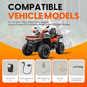 Ignition Kit for CG125 150 200 250cc Chinese ATV 4 Wheeler Quad Go Kart