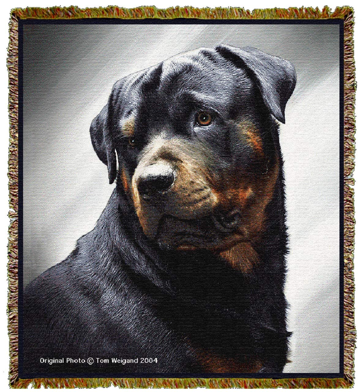 When To Breed Rottweilers In Heat