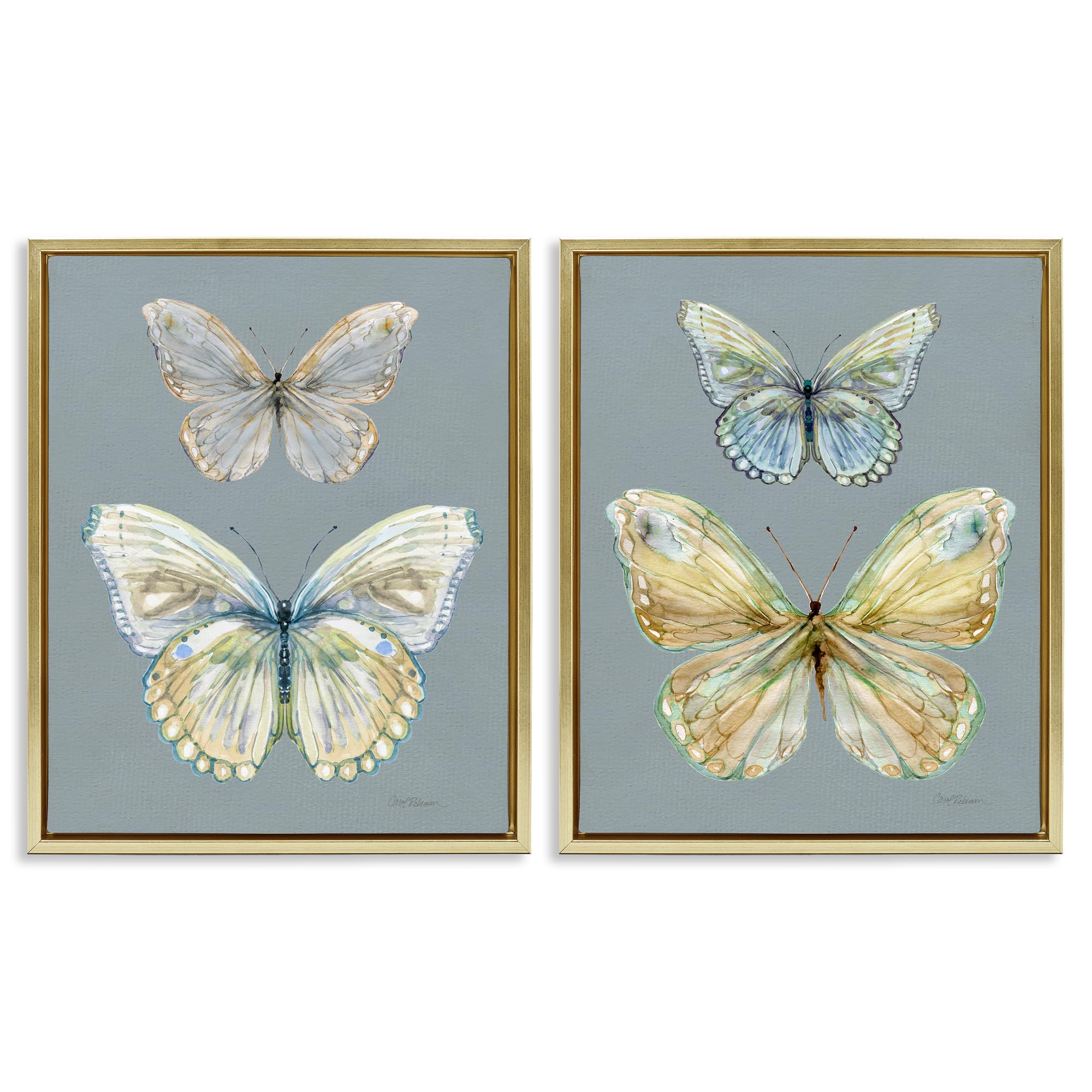 Stupell Industries 'Butterfly Pairs over Slate', 2pc Floating Frame Art Set 2, Gold, 25 x 31 Inches, Easy to Hang and Sturdy, Made in USA, by Carol Robinson