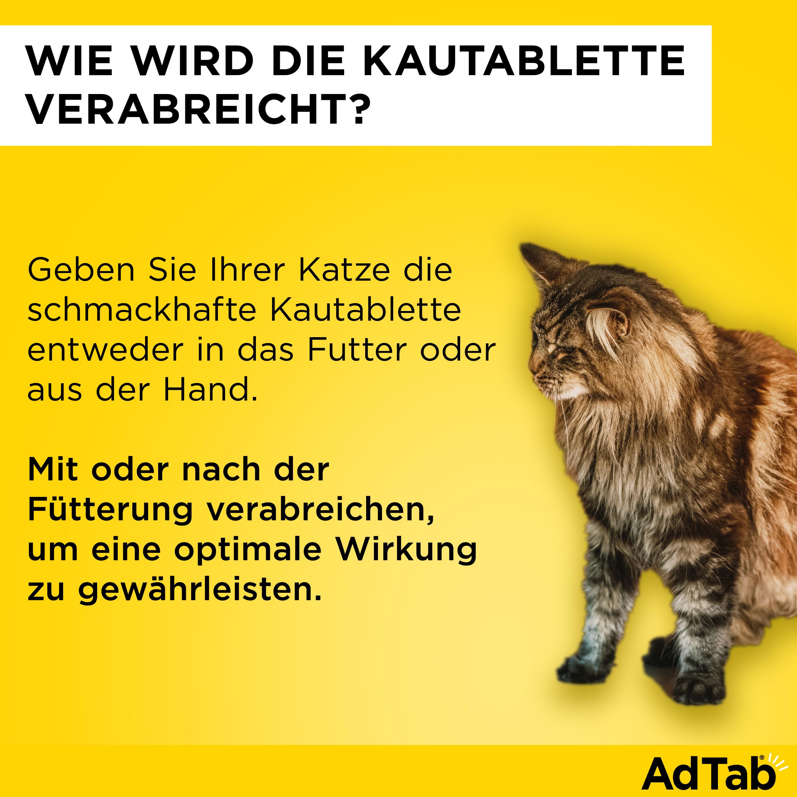 AdTab Katze 2-8 kg - Kautablette gegen Flöhe & Zecken, Doppelpack (6 St.) | Kleine, leckere Kautablette mit Vanille-Hefe-Aroma, 6 Monate Zeckenschutz und Flohschutz für deine Katze, schnelle Wirkung