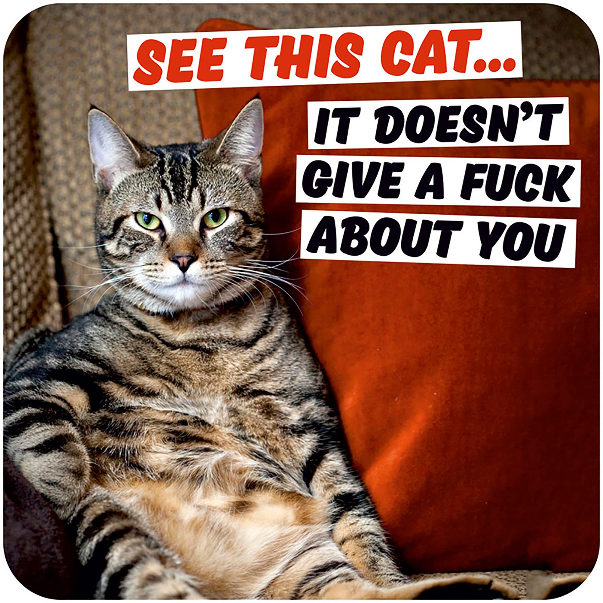 Dean Morris Cards Multicolour See This Cat. It Doesn't Give A F*** About You - Funny Rude Coaster - Small Gift Ideas - Birthday Gift For Cat Owner