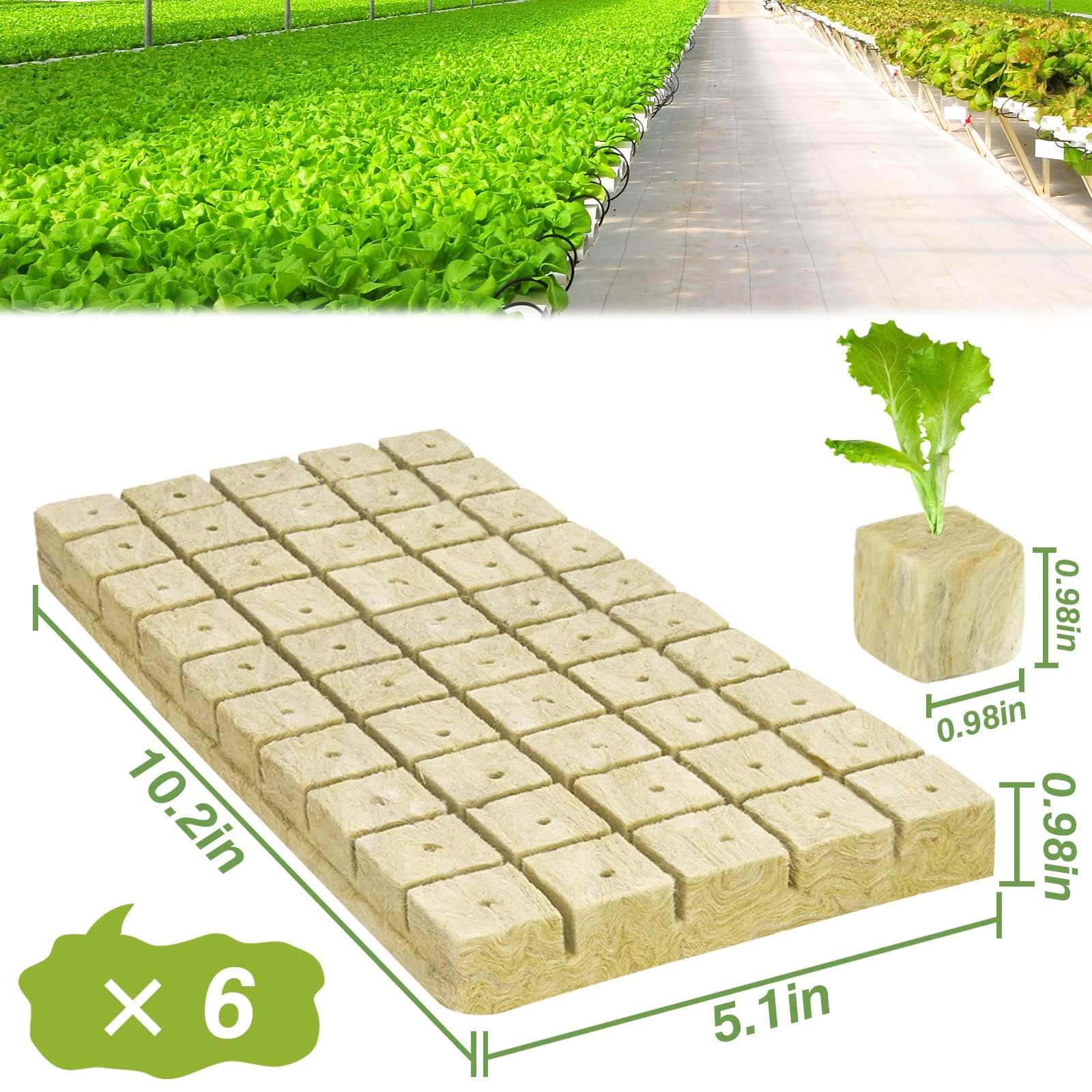Halatool Cubos de lana de roca de 1 pulgada para jardín, cubos de cultivo de lana de piedra, tapones de inicio para cultivo hidropónico, sin suelo, clonación de plantas y inicio de germinación (6
