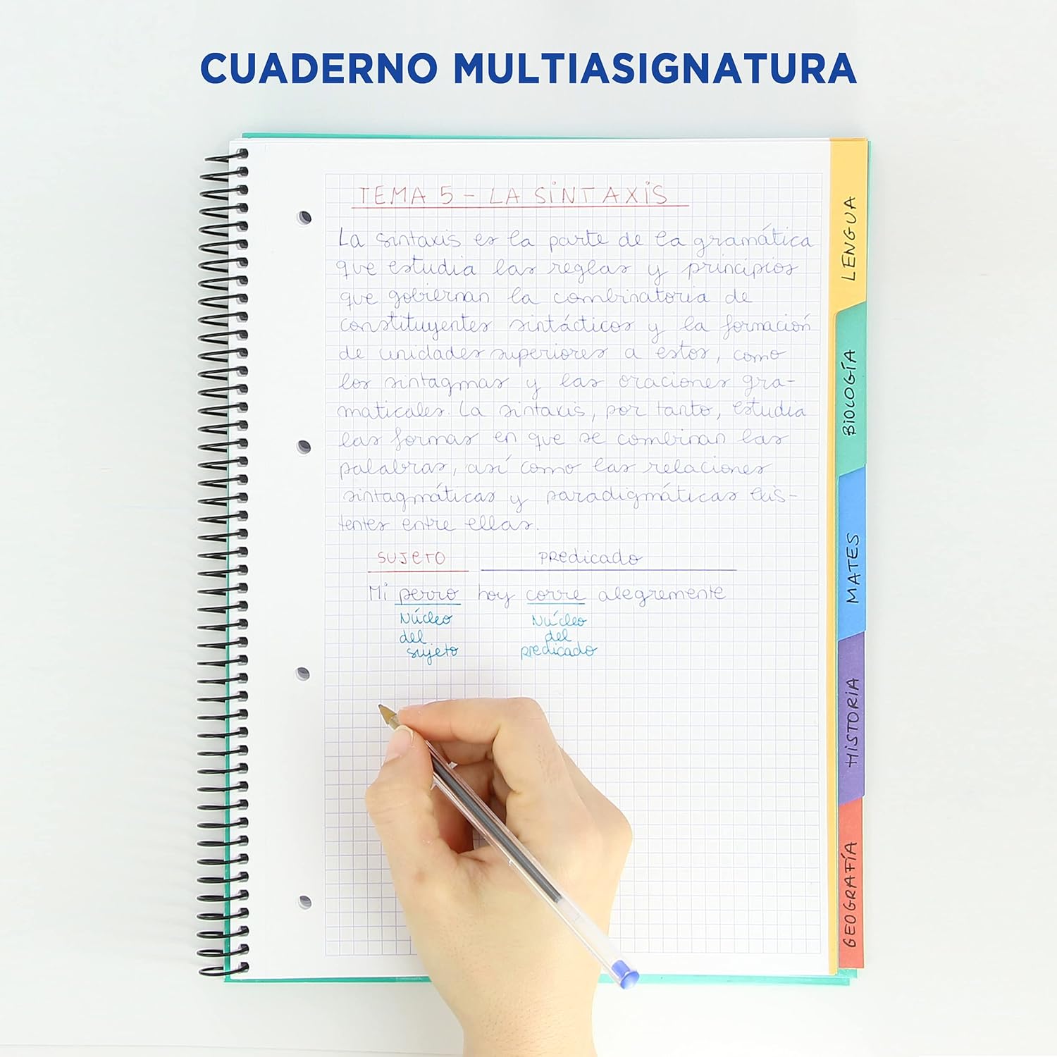 Oxford Black N’Colours, A4+ Notebooks, MicroPerforated, 5 Tabs, Extra