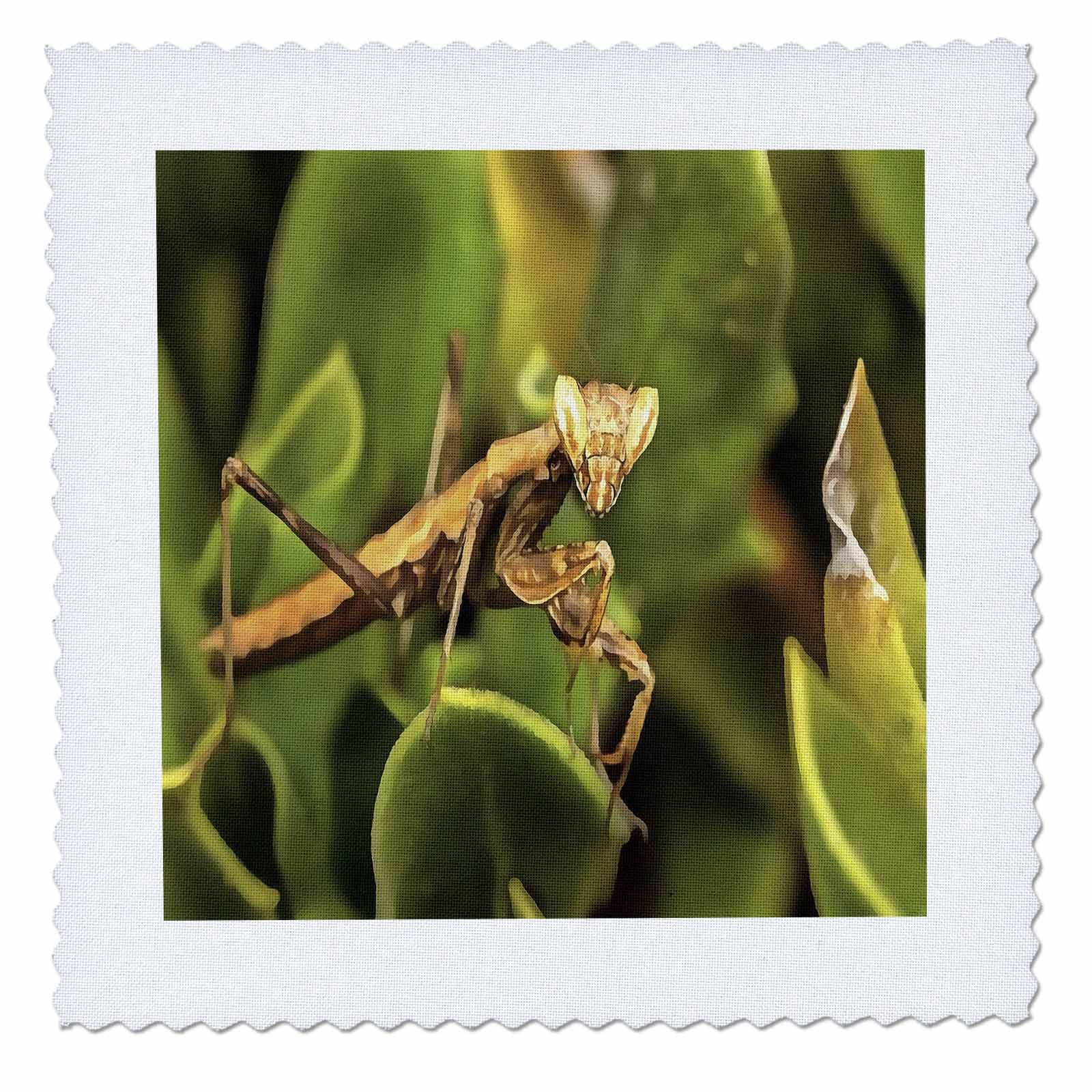 22x22 inch Quilt Square - Praying Mantis On Green Garden Background Acrylic Painting - Praying Mantis