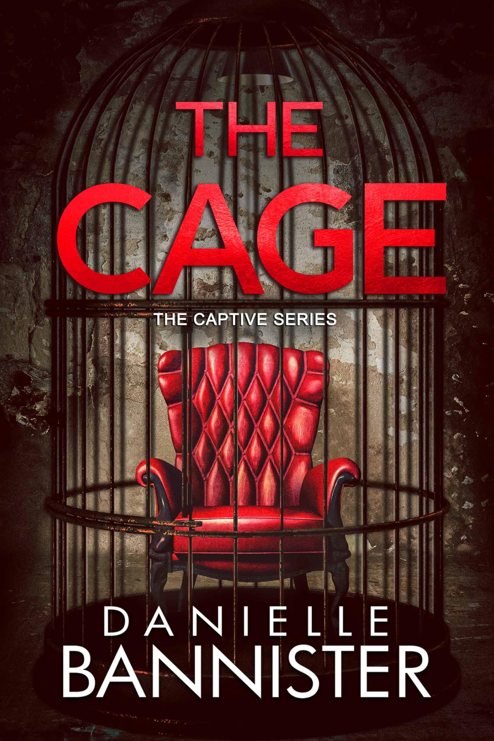 The Cage (The Captive Book 1)