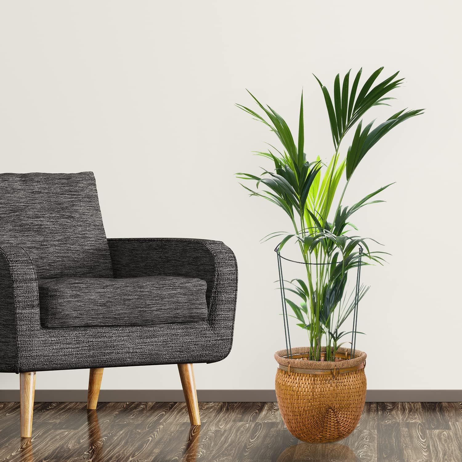 Estacas Soportes para Plantas, Paquete de 10 Estacas de Soporte para Plantas Reutilizable Metal Semicirculares Soportes para Peonías, para Plantas en Maceta, Tomates, Hortalizas y Flores 20x35CM