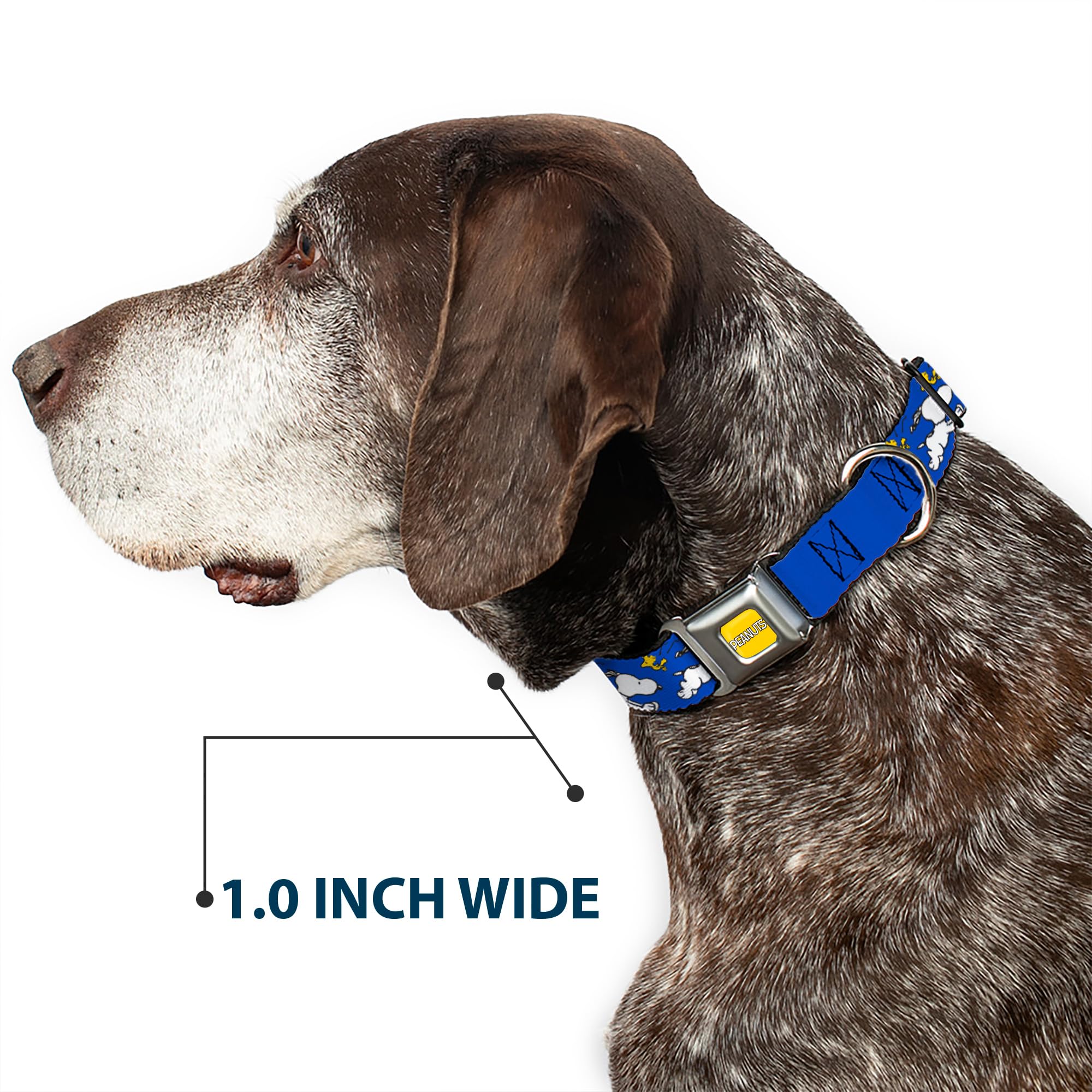 Peanuts Worldwide LLC Hundehalsband, Metall-Sicherheitsgurtschnalle, Peanuts, Snoopy Running und Woodstock Pose, Blau, 40,6 bis 58,9 cm, 3,8 cm breit