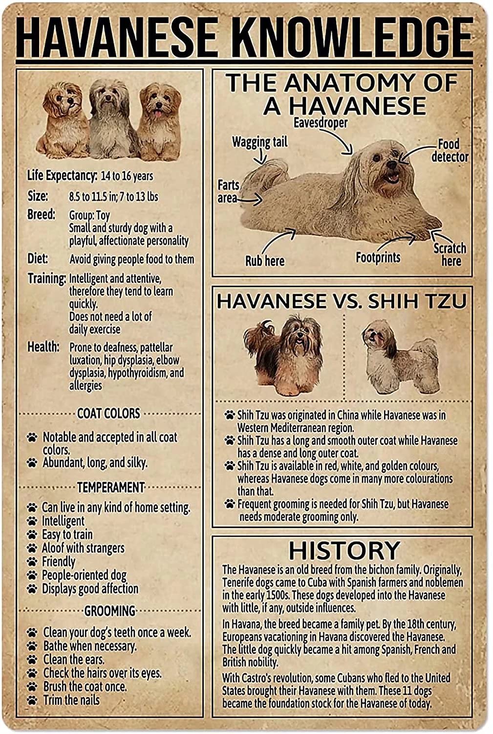 Havanese Knowledge Vintage Poster Metal Tin Sign Iron Painting Plaque Wall Decor Bar Club Novelty Bathroom Cafe Store 8x12 Inch