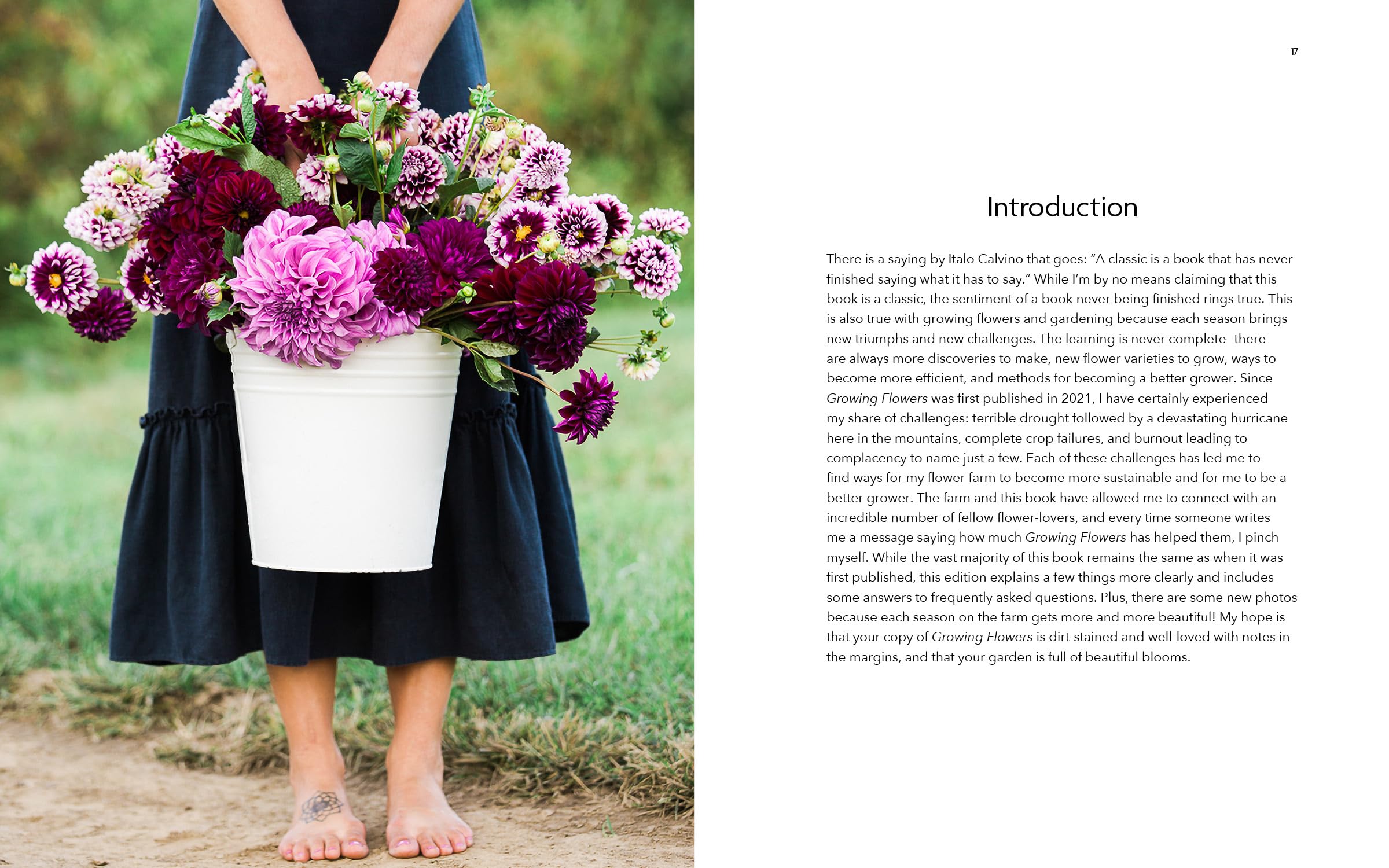 Growing Flowers: Everything You Need to Know About Planting, Tending, Harvesting and Arranging Beautiful Blooms: Flower Gardening for Beginners