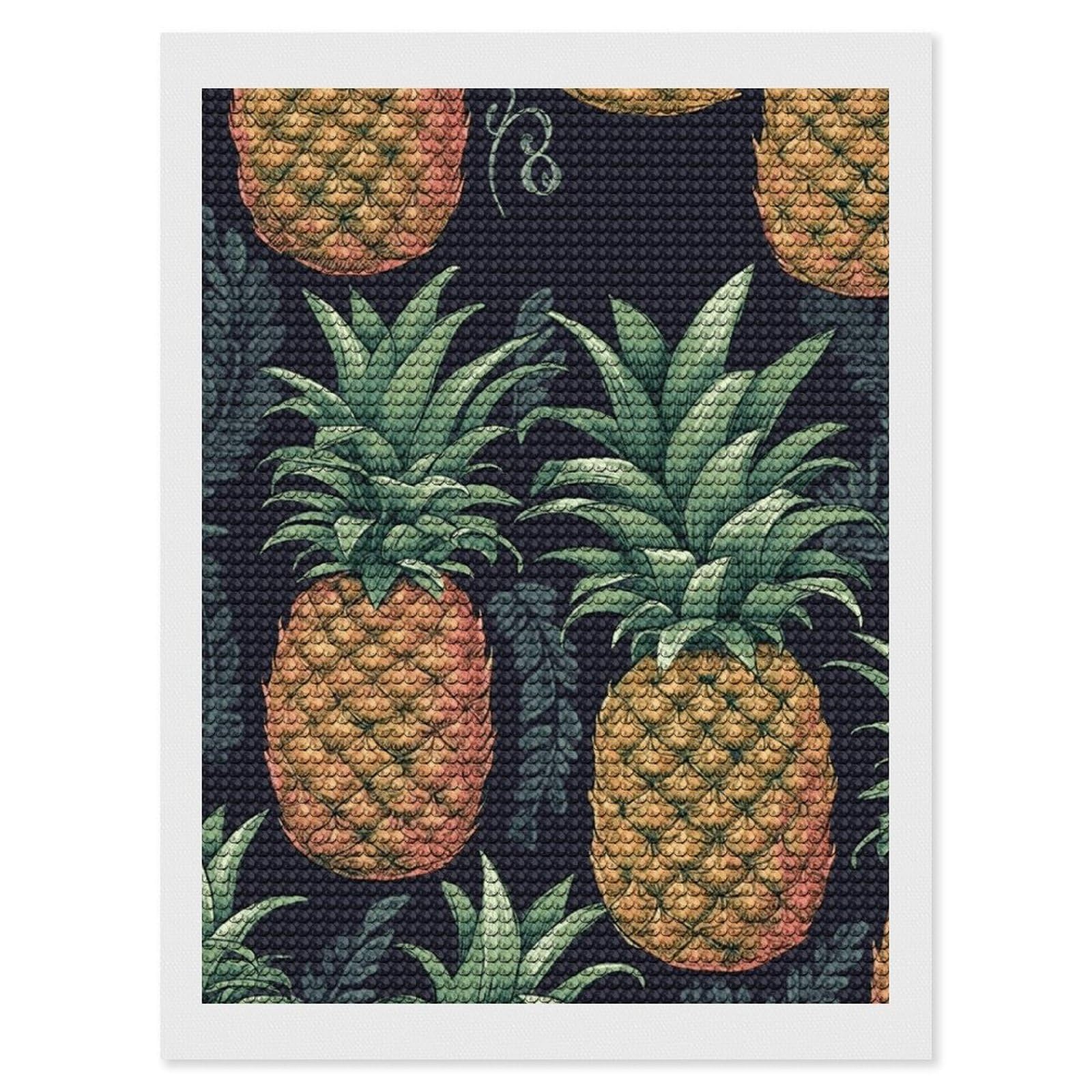NONHAI Diamond Painting Kits for Adults - DIY Diamond Art Kits for Beginners - Full 5D Paint Drill Diamond Dots Paintings- Pineapple Diamonds Pictures Gem Art and Craft Wall Decor 12"x16"
