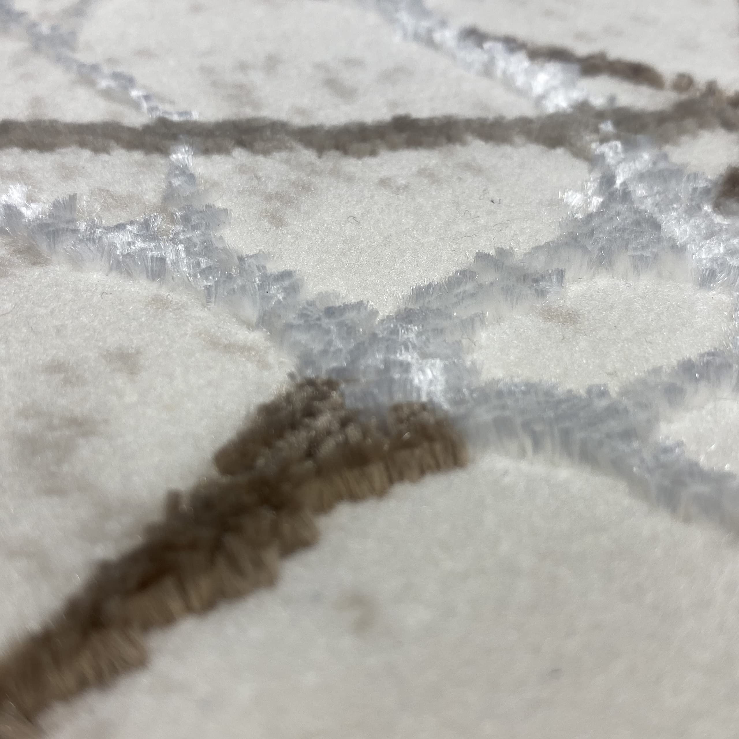 CARPETIA Tappeto moderno dal Design di Rami astratto | easy care | crema marrone, 140 x 200 cm