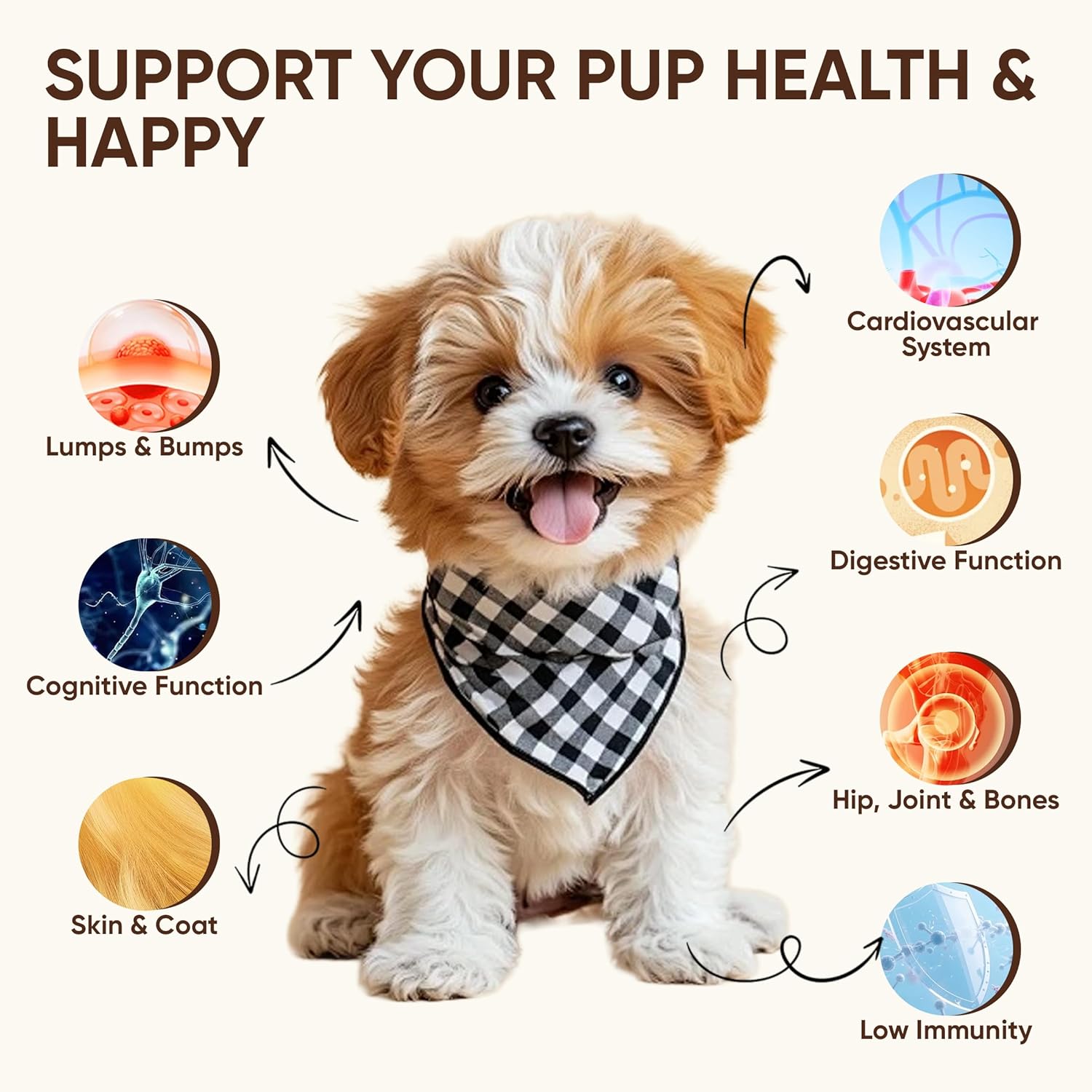 Turkey Tail Mushroom for Dogs, Premium Pet Mushroom Chews, Joint Spine& Mobility Support, Immune Health, Skin & Coat Care, with Chaga, Cordyceps, Lion's Mane, Shiitake & Maitake, 120 Chews (1)