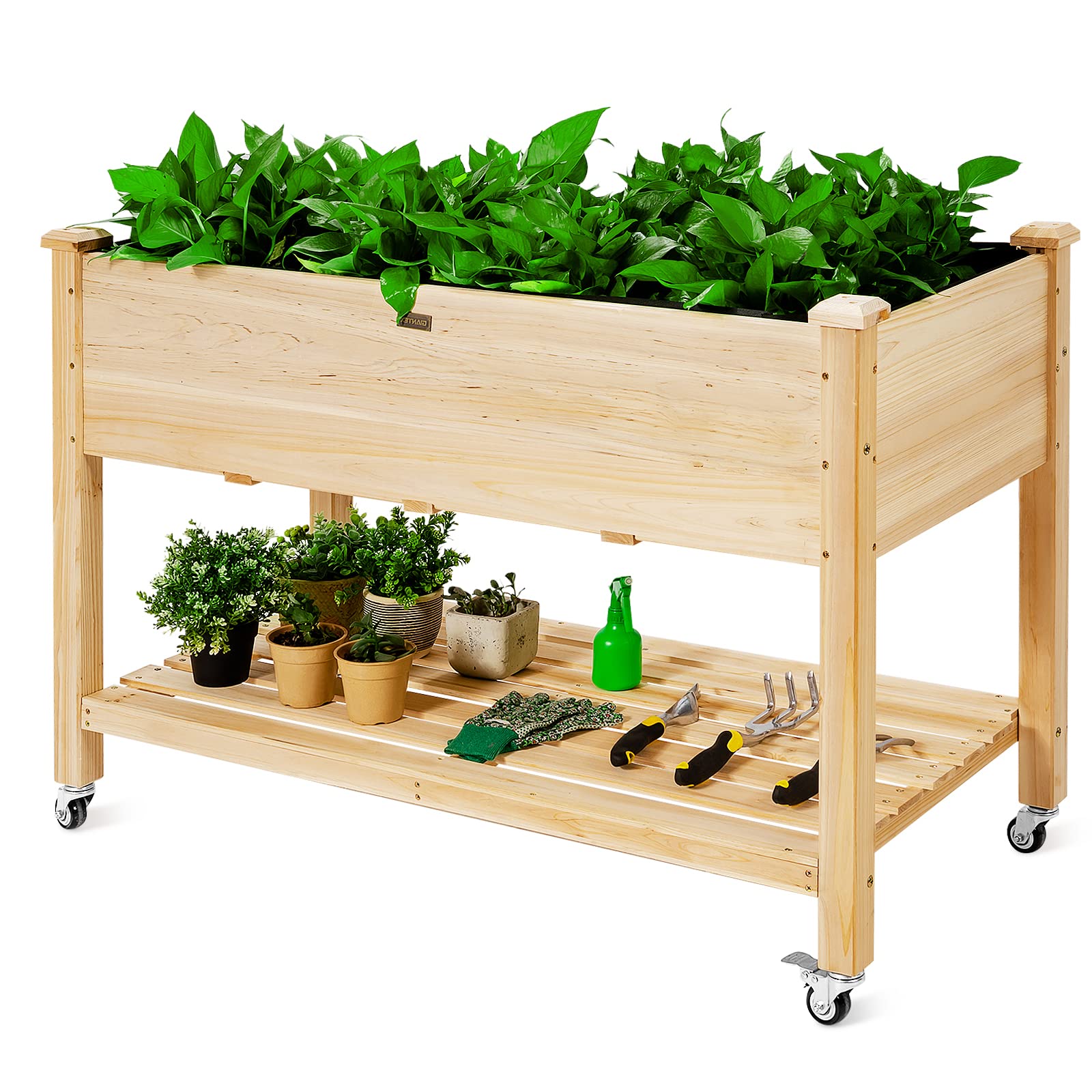 GOPLUS Hochbeet mit Rollen, Gartenbeet mit Ablage & Abflusslöcher, Pflanzbeet aus Tannenholz für Garten & Terrasse, Natur (mit Rollen, 120x59x84 cm)