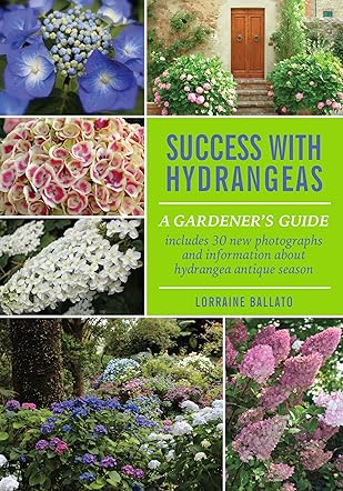 Success with Hydrangeas 