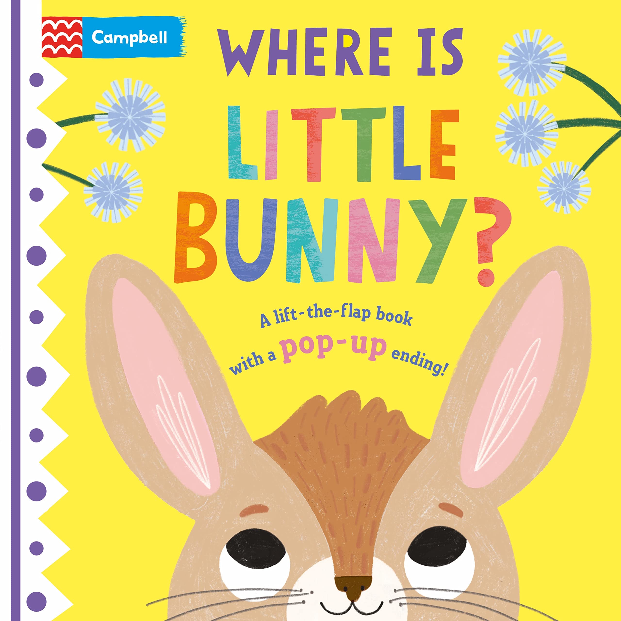 Where is Little Bunny? by Campbell Books, Hannah Abbo - 9781529098433