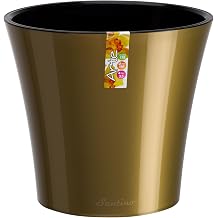Santino Self Watering Planter Arte 7.7 Inch Gold/Black Indoor Flower Pot for All House Plants, Flowers, Herbs, Succulents