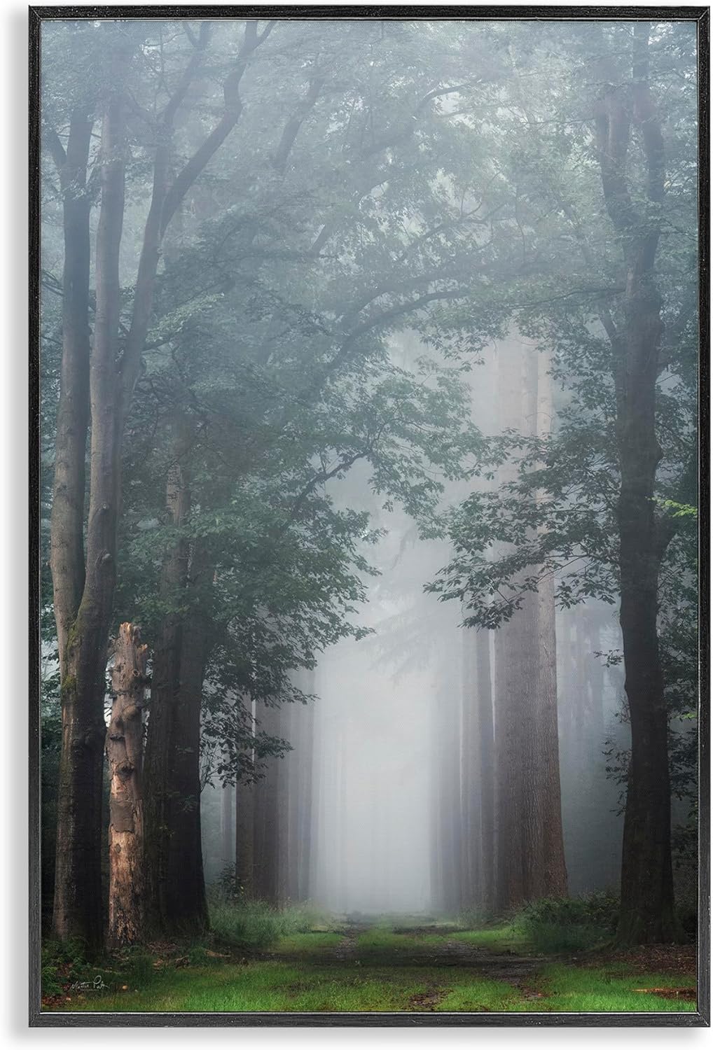 Stupell Industries Calm Forest Clearing Black Framed Giclee Art, design by Martin Podt, 20 x 30