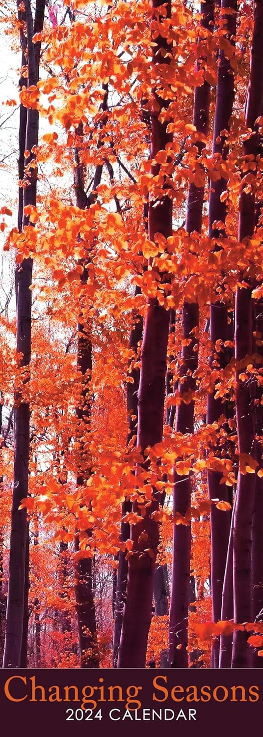 2024 Changing Seasons Slim Wall Hanging Calendar. No Plastic