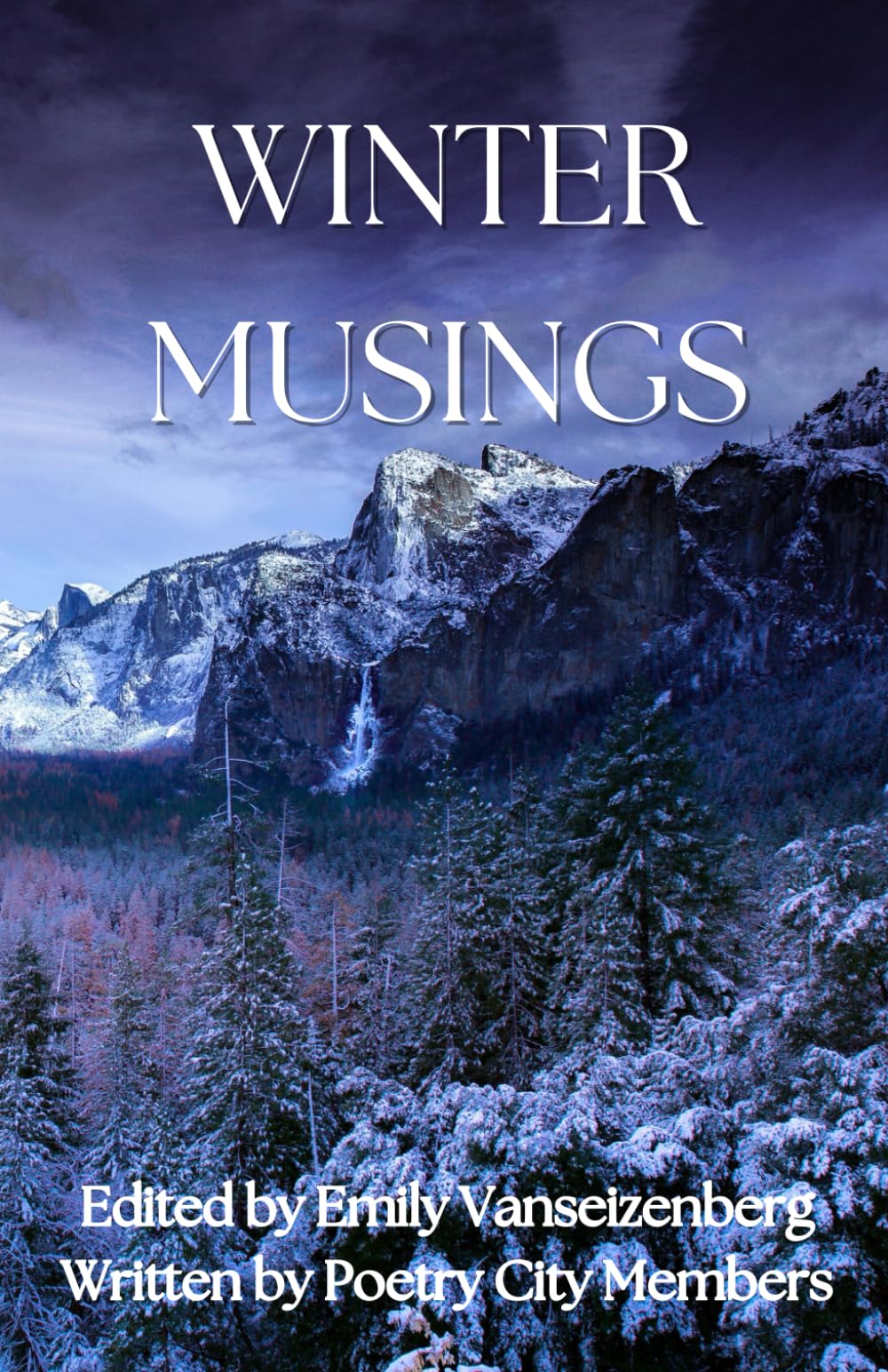 Winter Musings: a poetry anthology