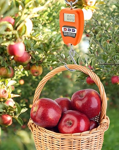 Miniatura 5 de QWORK Báscula de peso colgante, báscula digital de grúa de 440.9 lbs440 libras, báscula de pesaje de peces con carcasa de aluminio, pantalla LED