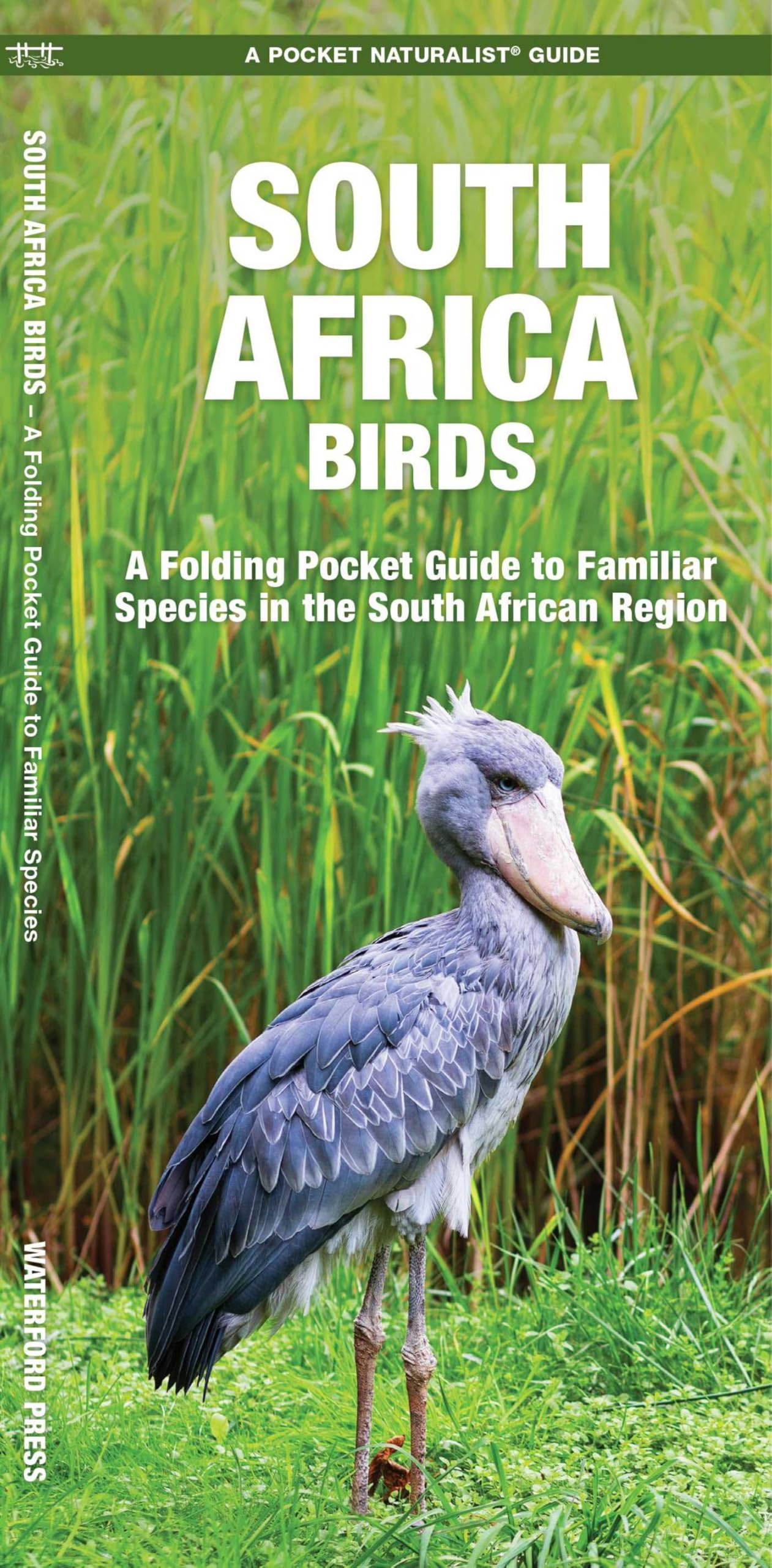 South Africa Birds: A Folding Pocket Guide to Familiar Species (Nature Observation International)
