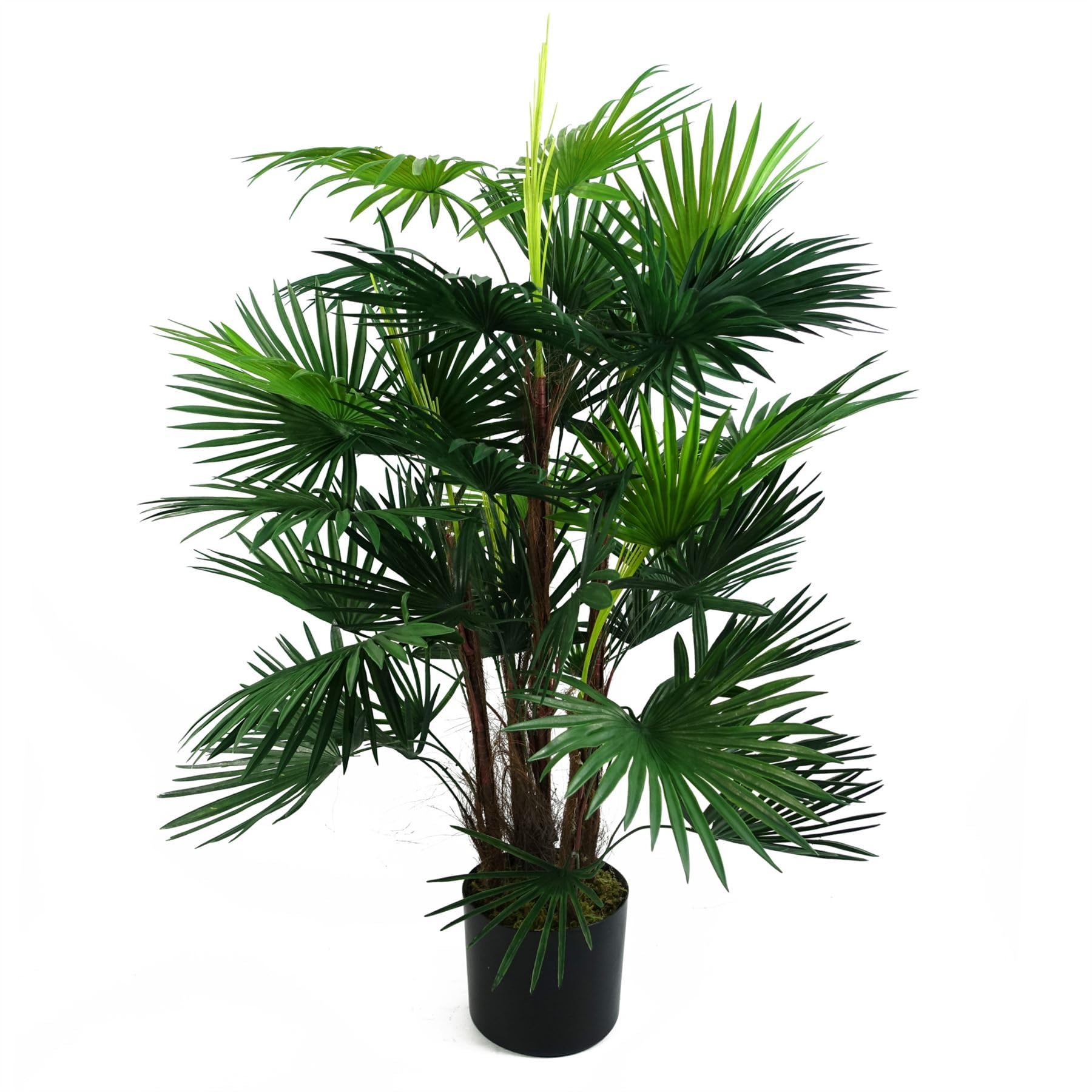 Nearly Natural Palma Hawaiana Artificiale 1,5m - Albero Finto Per Decorazione Interna, Verde - 3
