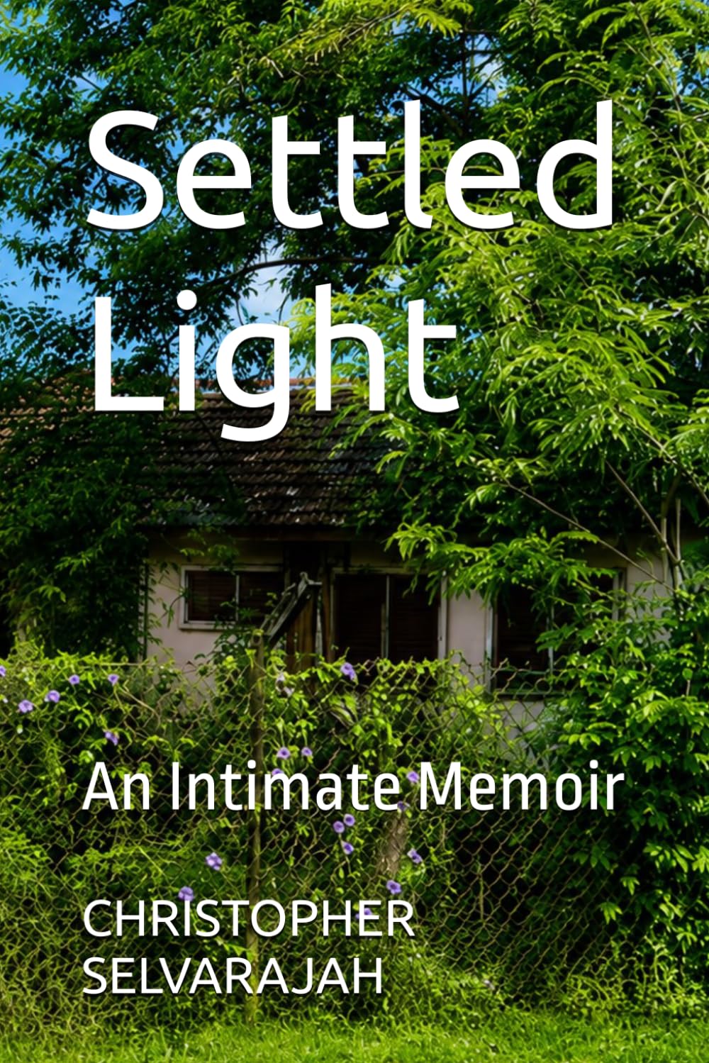 Settled Light: On Home, Love, and What Endures: 5 (The Silences Between - An Intimate Memoir Series)