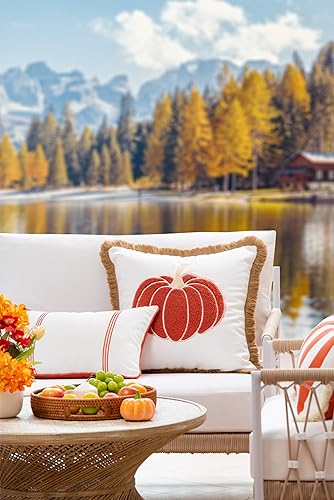 Miniatura 2 de Hofdeco Premium Funda de almohada otoñal para patio interior y exterior, 20 x 20 pulgadas, repelente al agua para patio trasero, sofá, calabaza