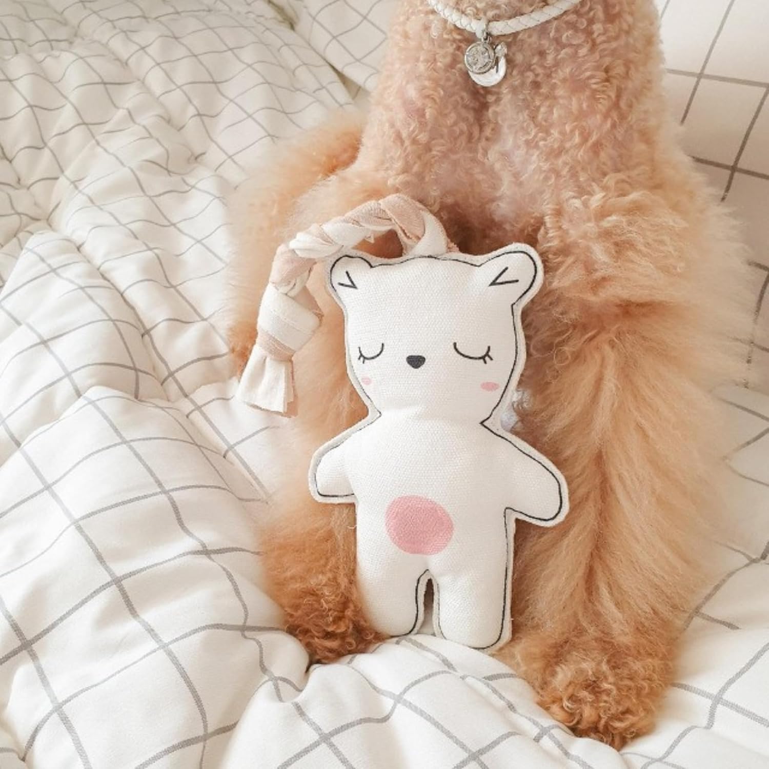 MOM N POP Organic Rope Dog Toy with Squeaker – Durable Canvas Plush Chew Toy for Small Dogs & Cats – Interactive Tug & Fetch Toy – 17cm Body + 15cm Rope – 4 Colors Available (Brown)