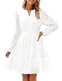 Women's 2025 Long Sleeve Mini Dress Fall V Neck Hollow Out Eyelet Embroidery Ruffle A Line Swing Short Dresses