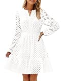 Women&apos;s 2025 Long Sleeve Mini Dress Fall V Neck Hollow Out Eyelet Embroidery Ruffle A Line Swing Short Dresses
