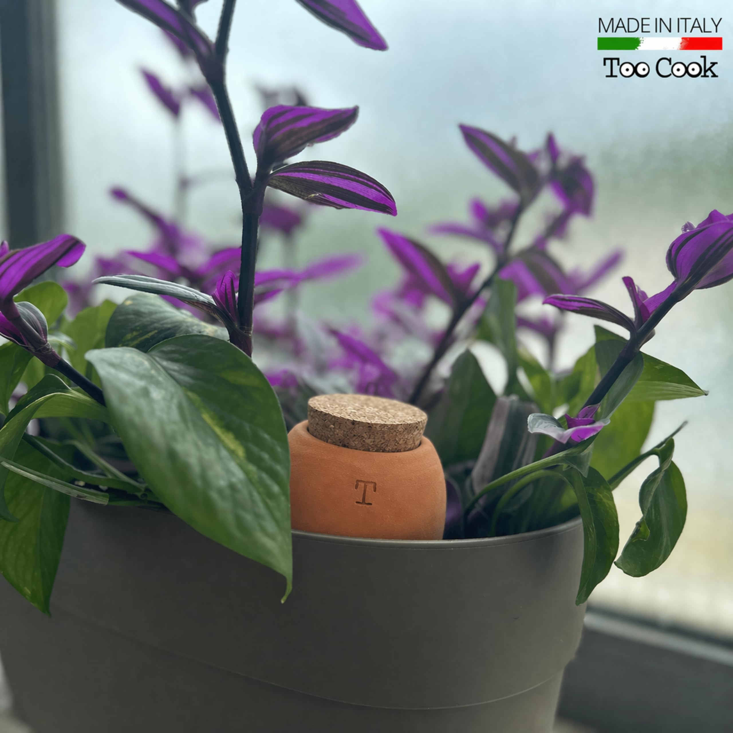 Olla in Terracotta Bianca per Irrigazione Piante Grasse Autonomia 7/10 Giorni (Naturale 750 ML 2 pz)