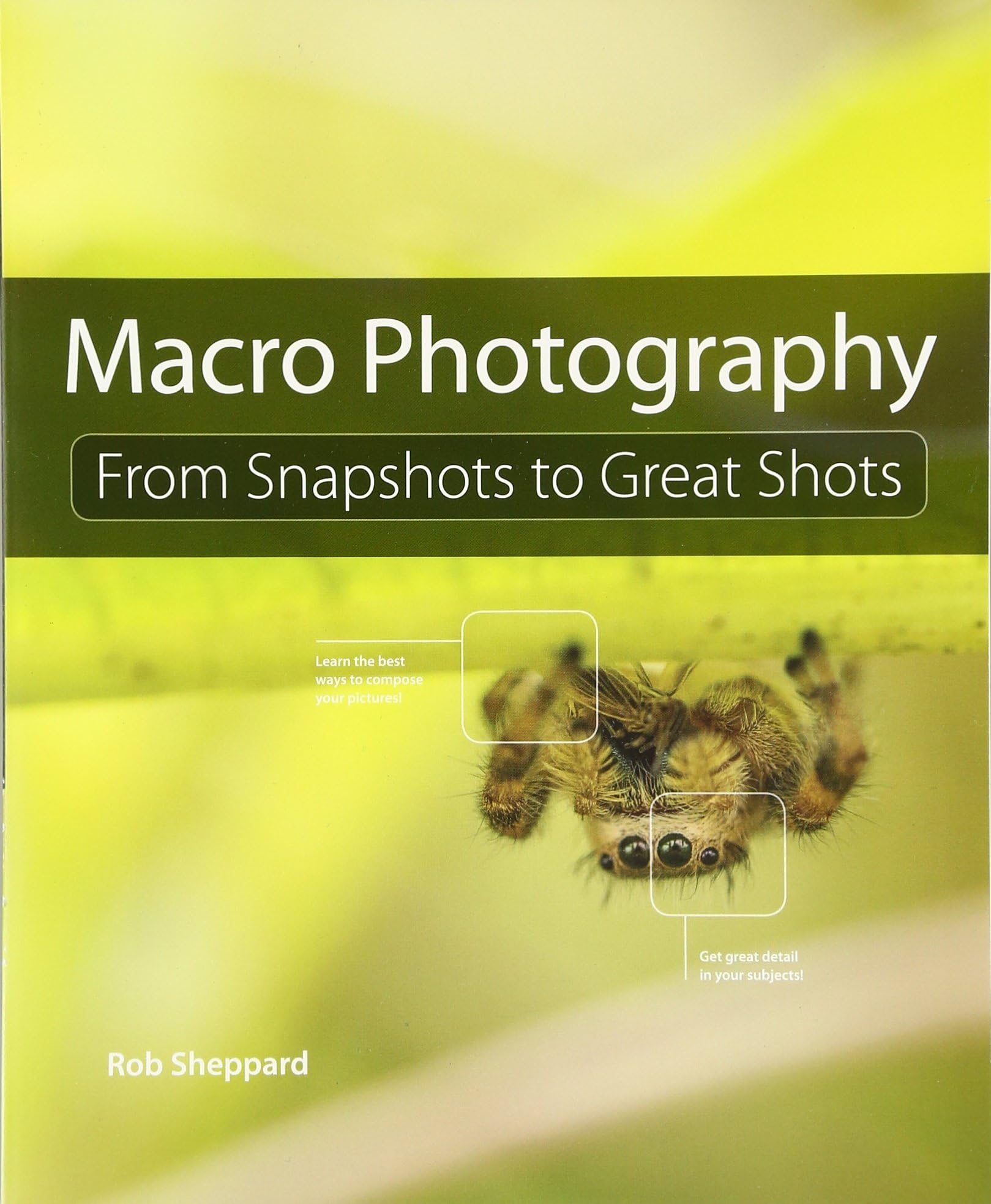 Macro Photography: From Snapshots to Great Shots