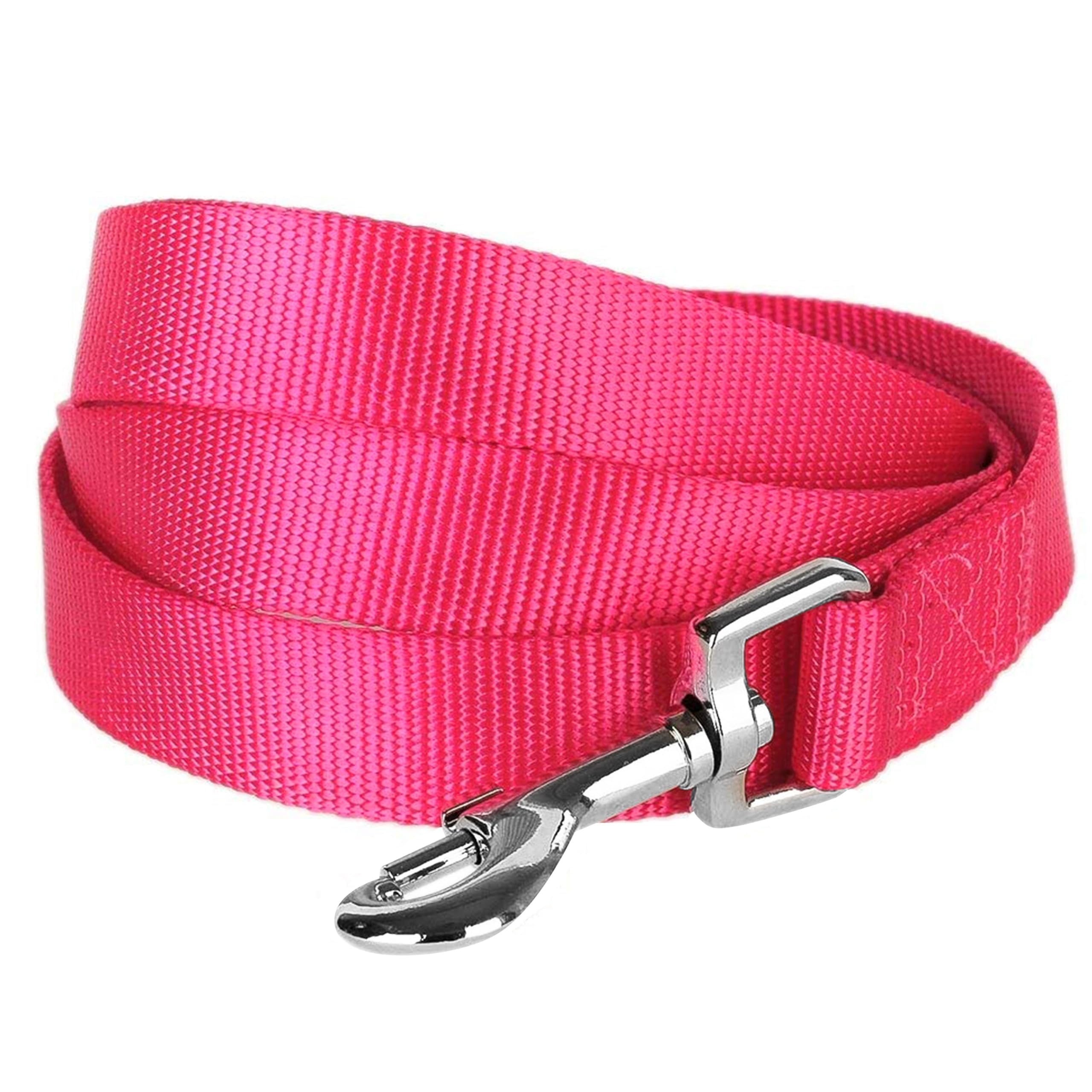 Blueberry Pet Essentials French Pink Dog Leash for X-Small -5' * 3/8" Dogs | Heavy Duty Nylon Lead | Lightweight Puppy & Cat Leash for Walking & Training