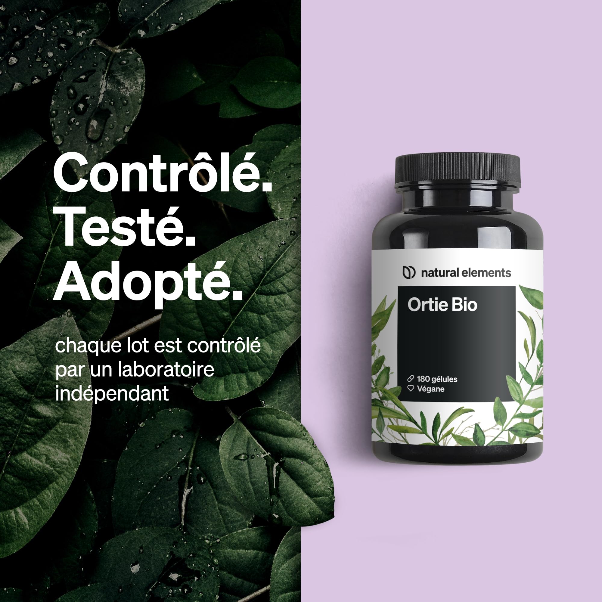 Ortie Bio – 180 gélules – extrait de feuilles d’ortie 10 : 1 – végane, hautement dosé, sans additifs inutiles – fabriqué et contrôlé en laboratoire en Allemagne