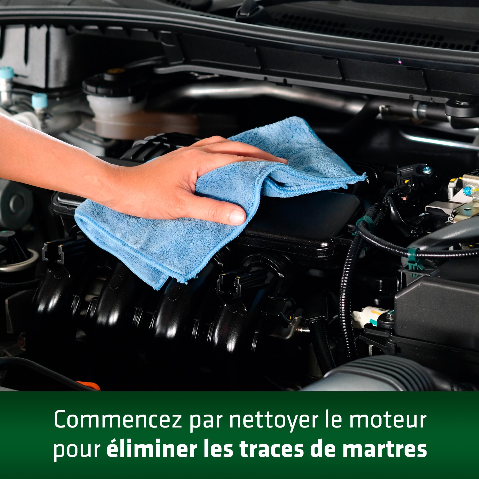 Gardigo® Répulsif Anti Fouines Ultrason | Repeller Anti-Martres, Souris, Ratons Laveurs et Rongeurs | Répulsif Testé et Approuvé | Fonctionne sur Piles | Lot de 2