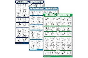 QUICKFIT 3-Pack: Dumbbell, Bodyweight, and Barbell Exercise Charts