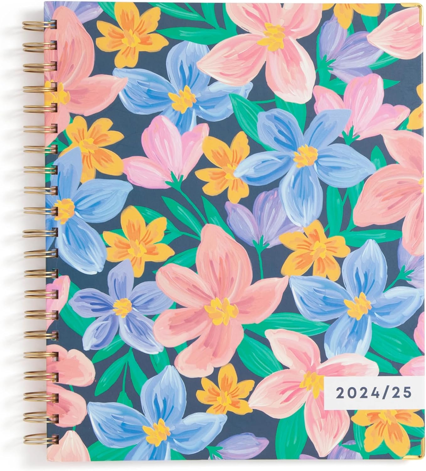 Blue Sky 20242025 Academic Year Weekly and Monthly